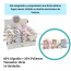 Coleção Urso Nino 14 Und. - Zip Toys
